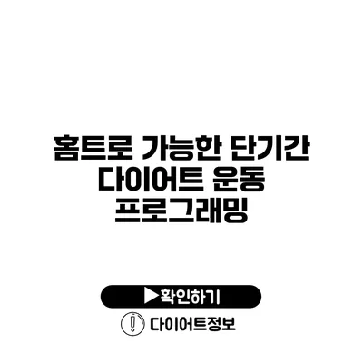 홈트로 가능한 단기간 다이어트 운동 프로그래밍