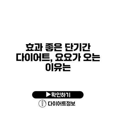 효과 좋은 단기간 다이어트, 요요가 오는 이유는?