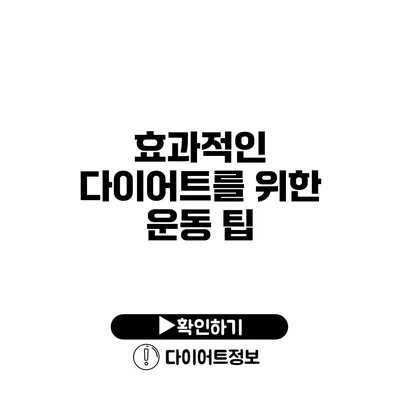 효과적인 다이어트를 위한 운동 팁