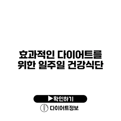 효과적인 다이어트를 위한 일주일 건강식단