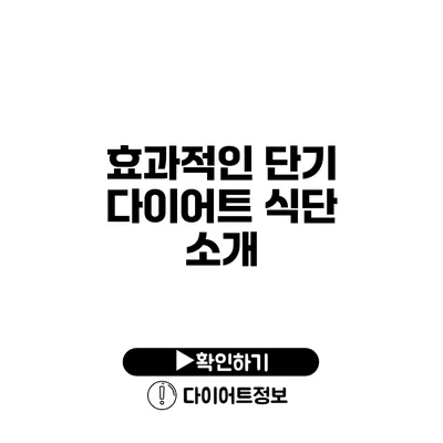 효과적인 단기 다이어트 식단 소개