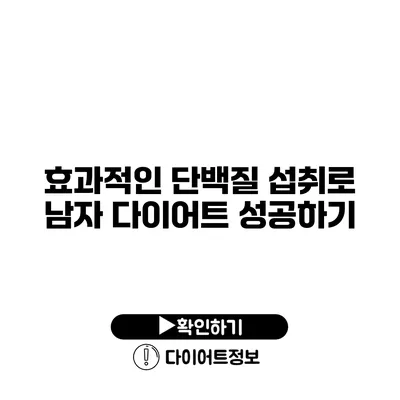 효과적인 단백질 섭취로 남자 다이어트 성공하기