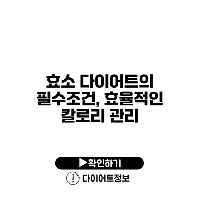 효소 다이어트의 필수조건, 효율적인 칼로리 관리