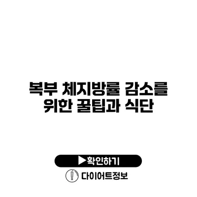 복부 체지방률 감소를 위한 꿀팁과 식단