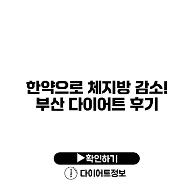 한약으로 체지방 감소! 부산 다이어트 후기